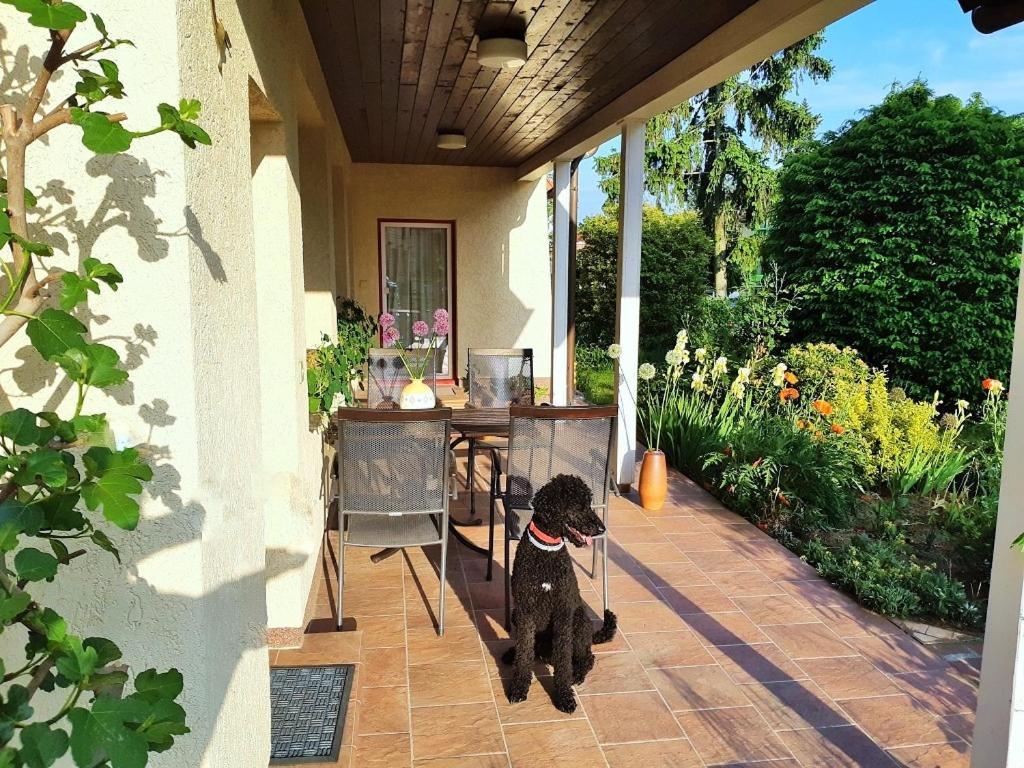 Ferienwohnung Petronela Waren  Exterior foto